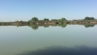 Public Exhibition: Unleashing Raw Power